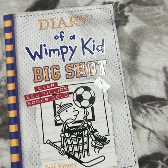 Diary of a wimpy kid 2 book bundle - Picture 3 of 3